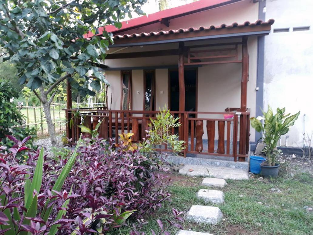 Red Island Bungalows Pasanggaran Pokoj fotografie